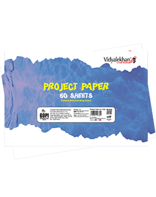 Project Paper